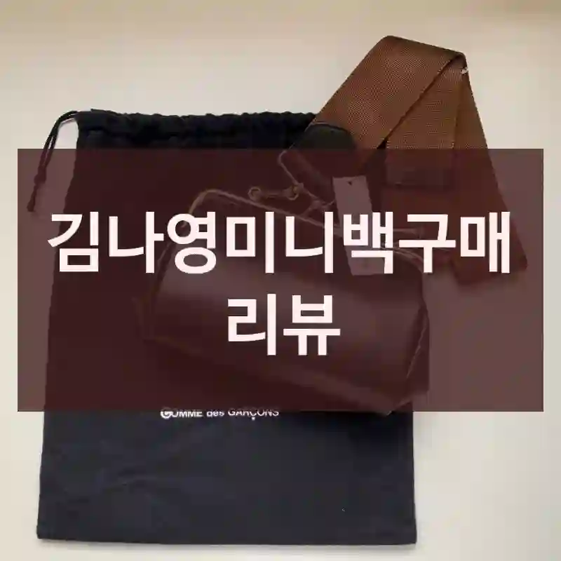 김나영미니백구매 리뷰