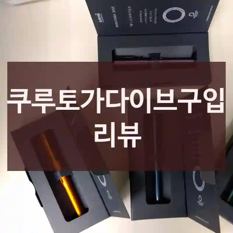 쿠루토가다이브구입 리뷰