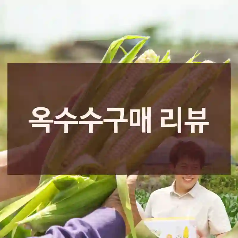 옥수수구매 리뷰