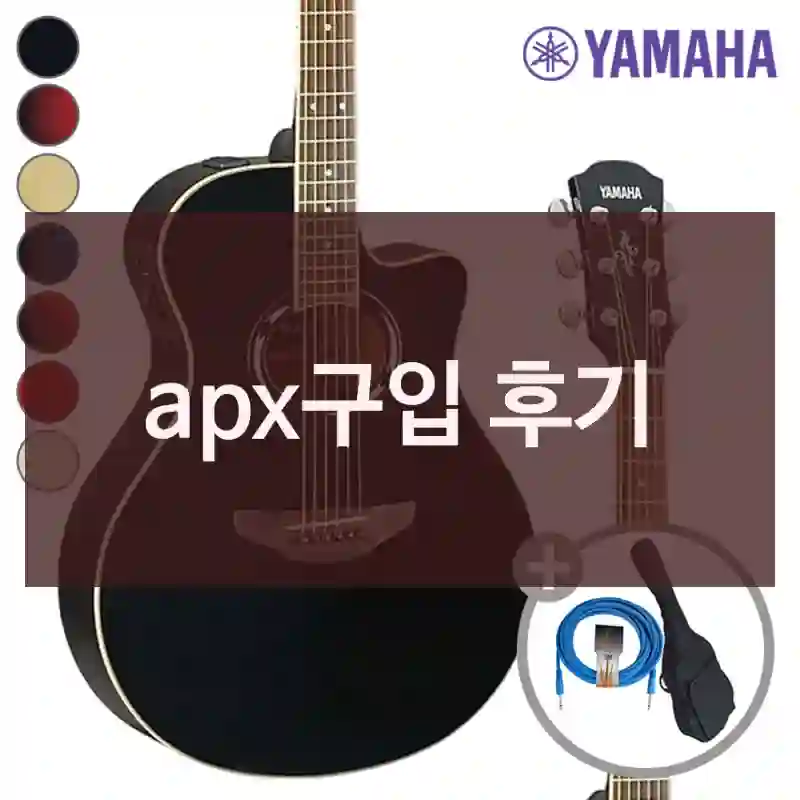 apx구입 후기