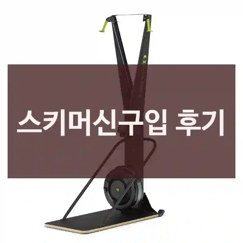 스키머신구입 후기