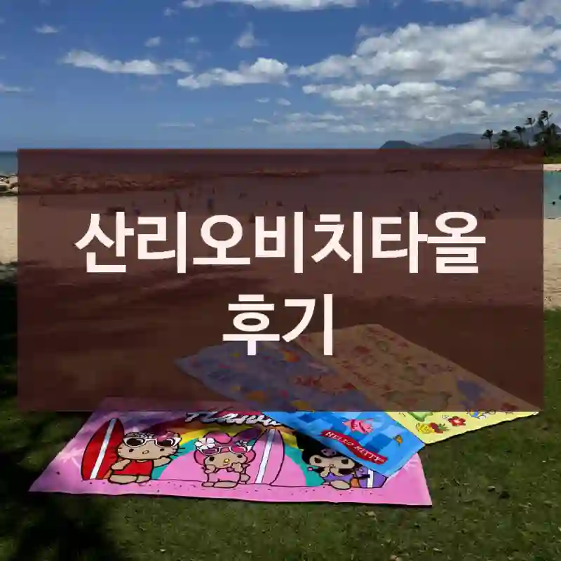 산리오비치타올 후기