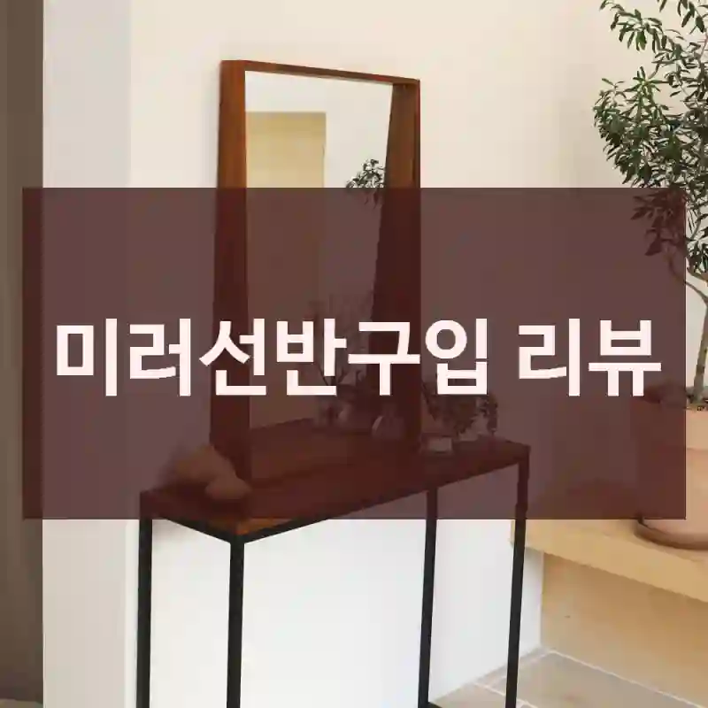 미러선반구입 리뷰