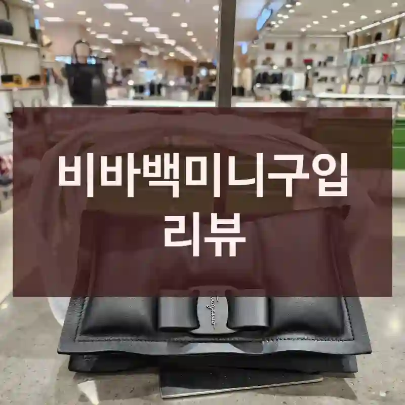 비바백미니구입 리뷰