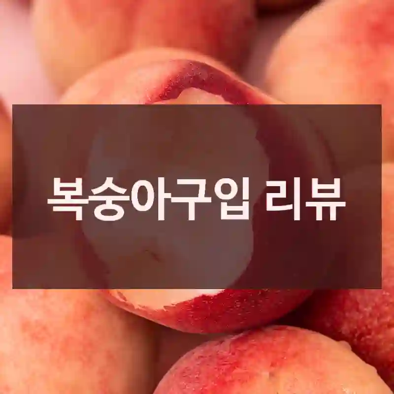 복숭아구입 리뷰