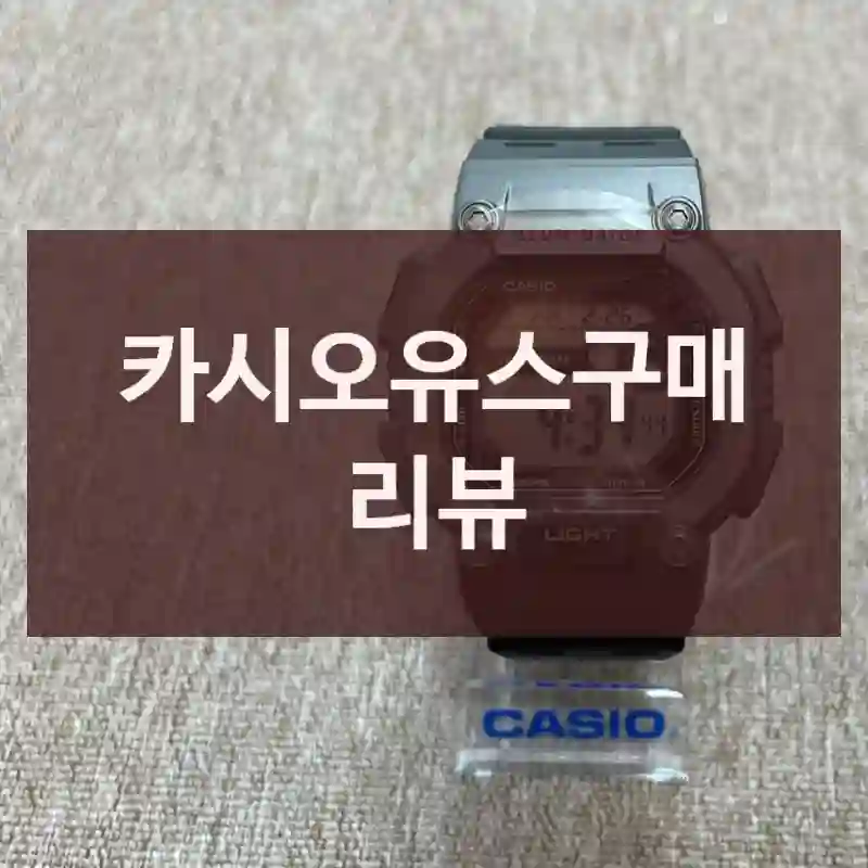 카시오유스구매 리뷰