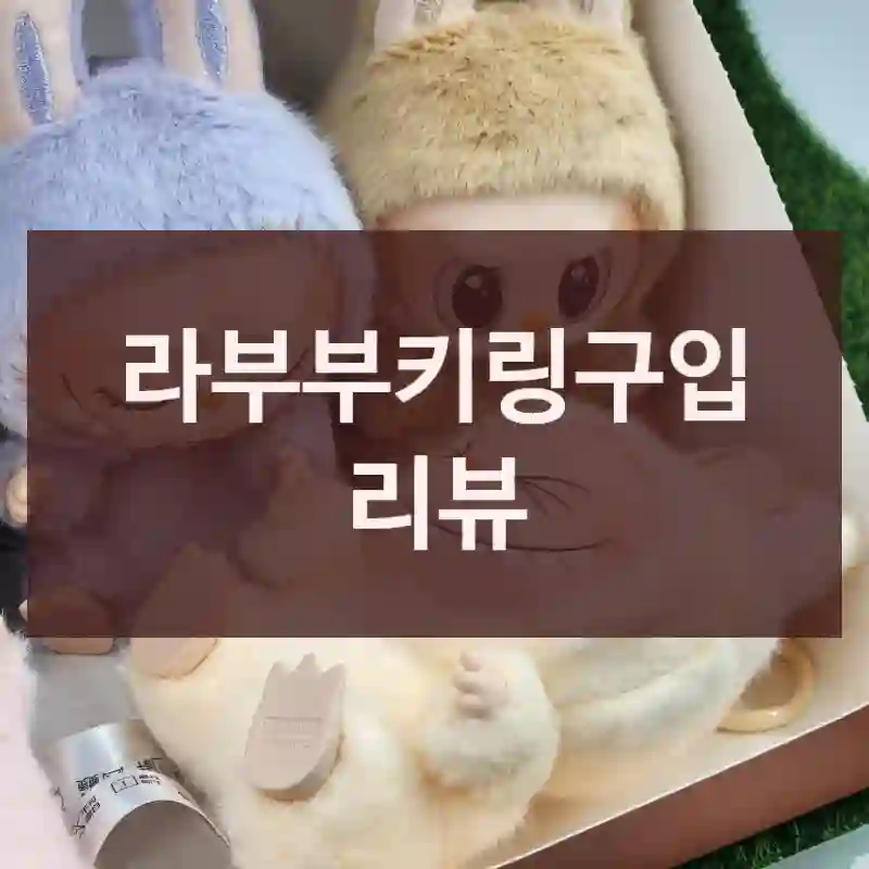 라부부키링구입 리뷰
