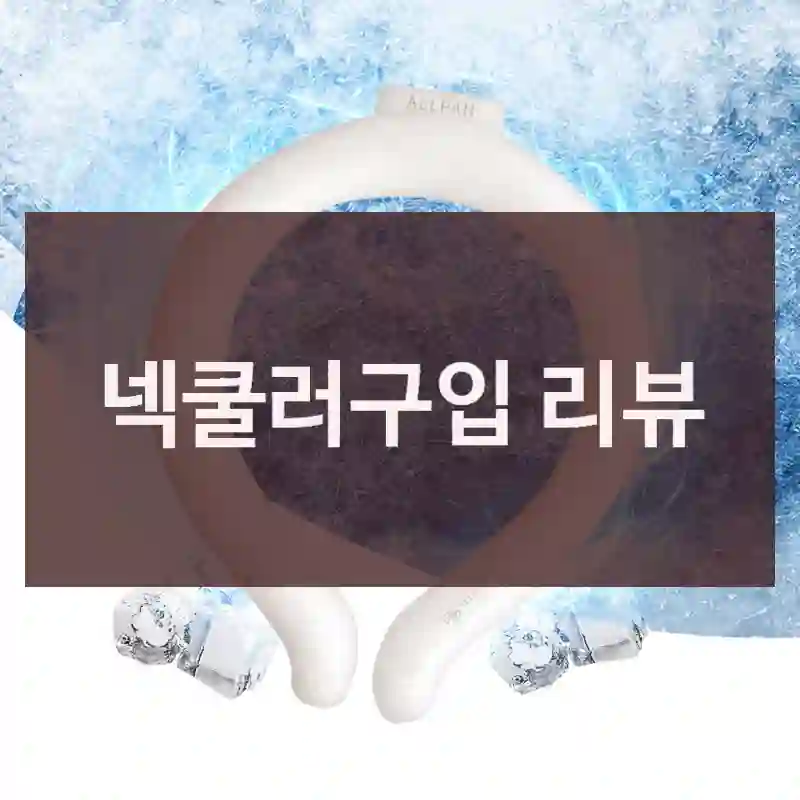 넥쿨러구입 리뷰