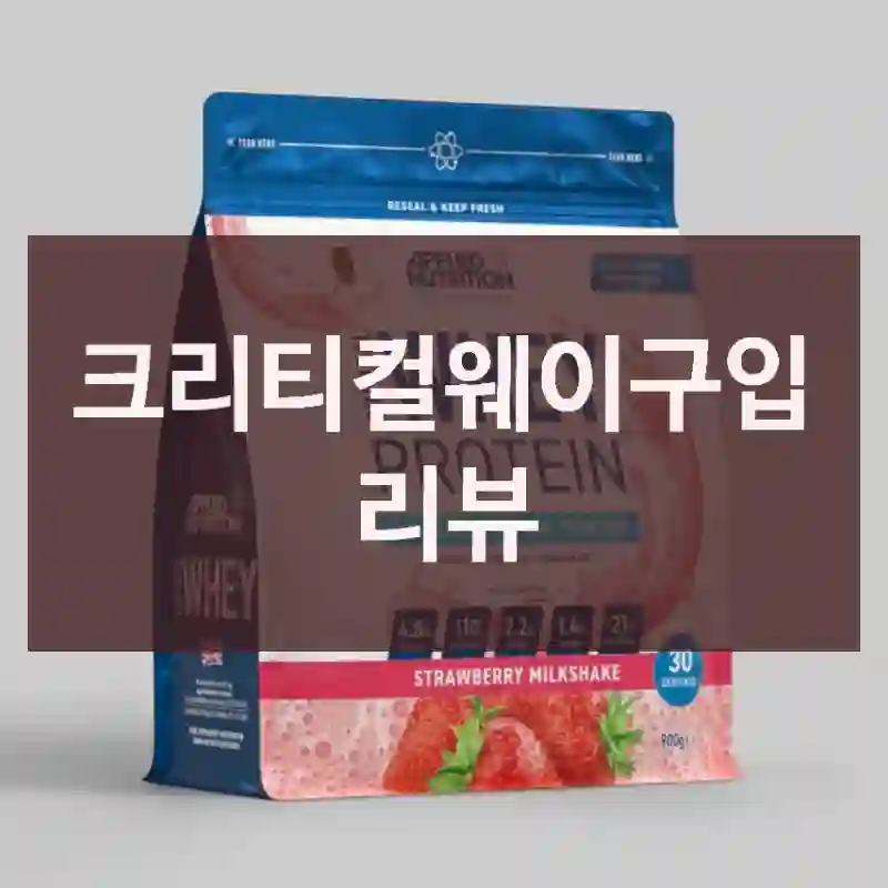 크리티컬웨이구입 리뷰