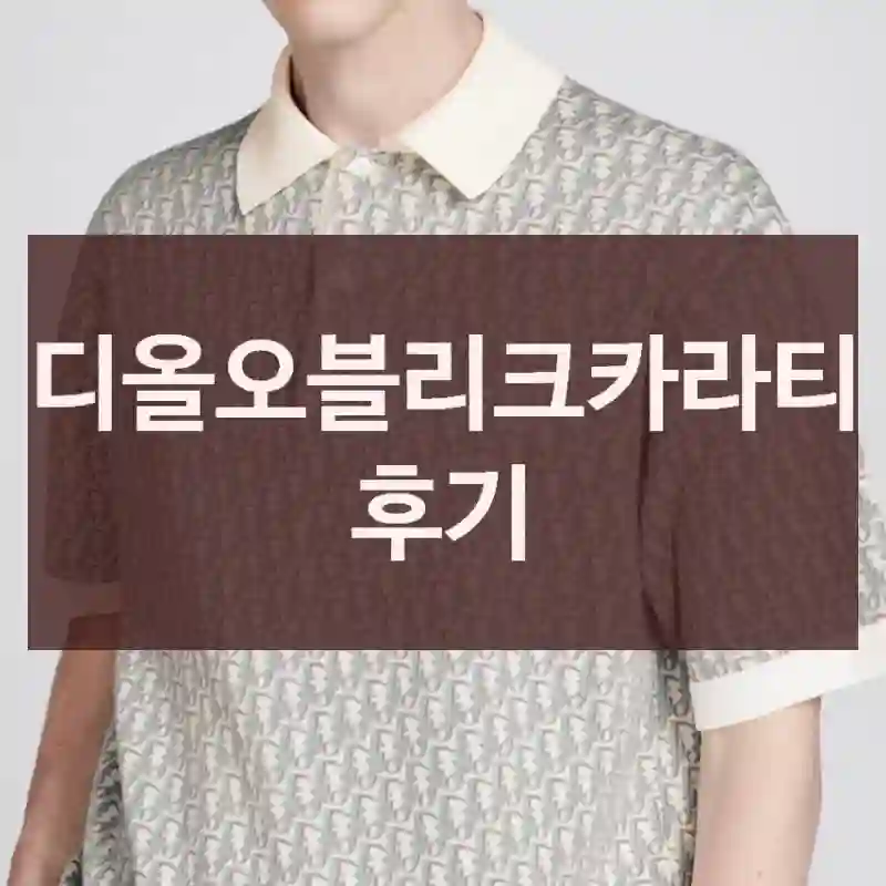 디올오블리크카라티 후기