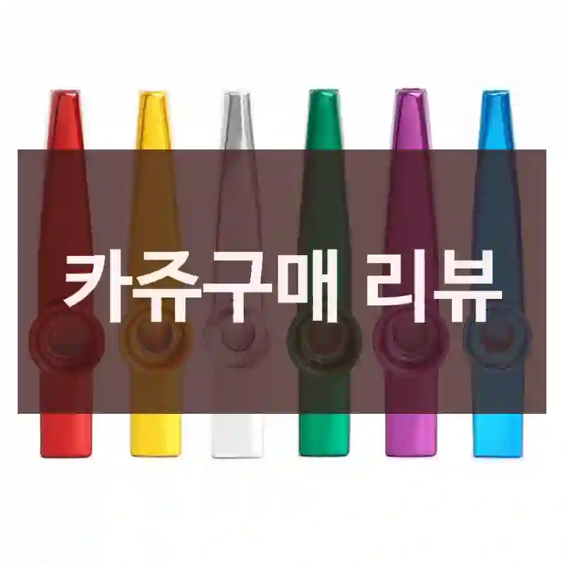 카쥬구매 리뷰
