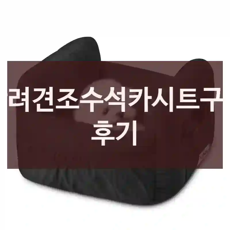 반려견조수석카시트구매 후기