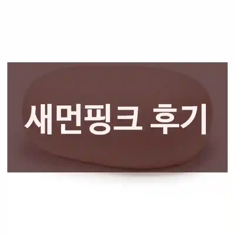 새먼핑크 후기