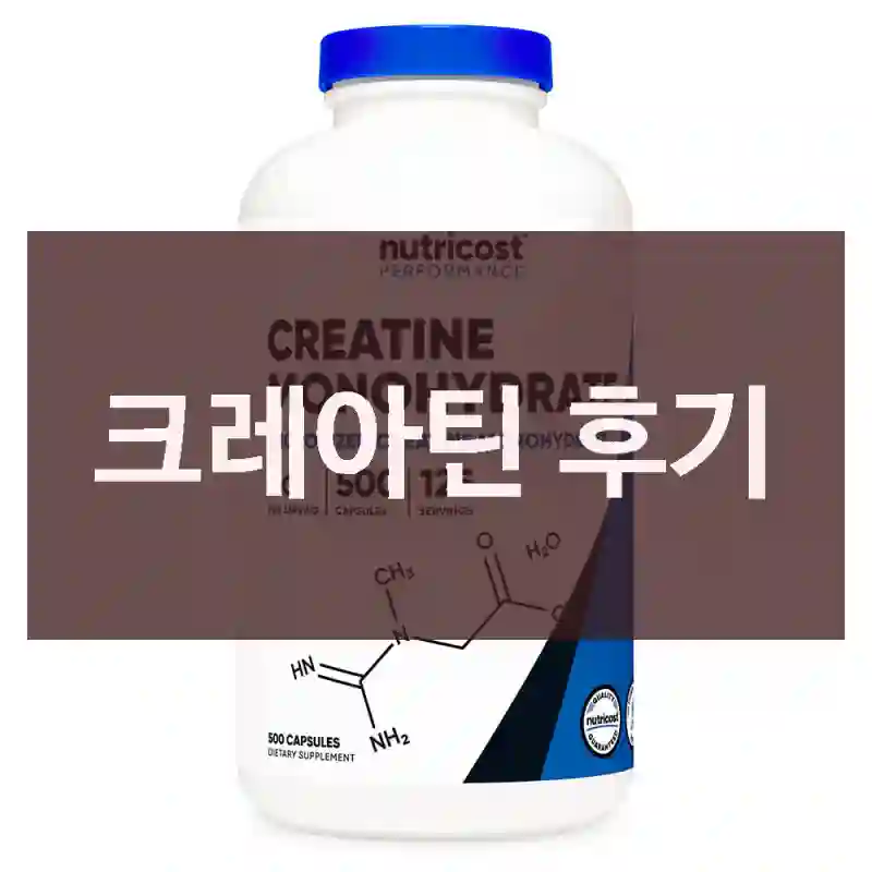 크레아틴 후기