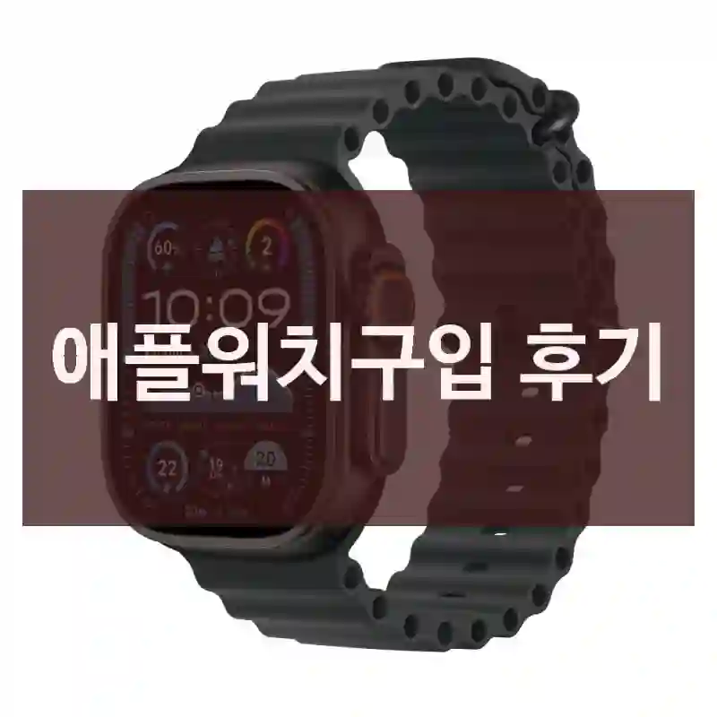 애플워치구입 후기