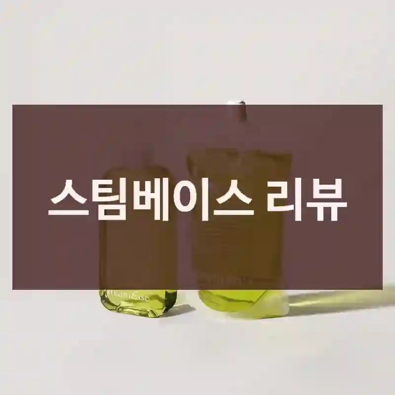 스팀베이스 리뷰