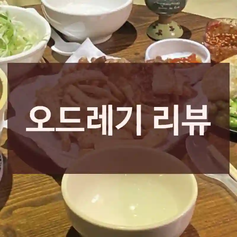 오드레기 리뷰