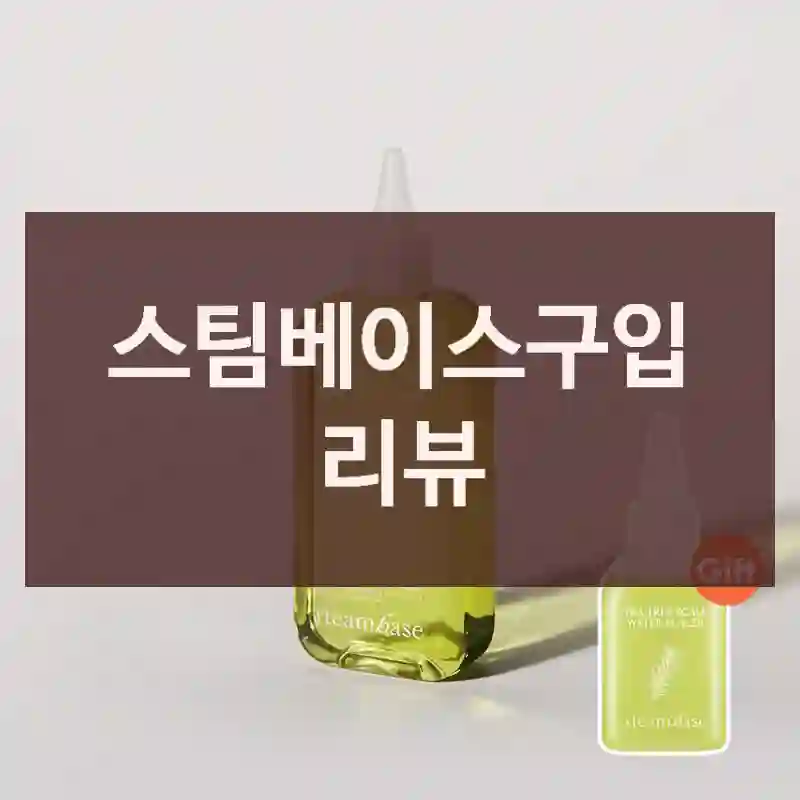 스팀베이스구입 리뷰