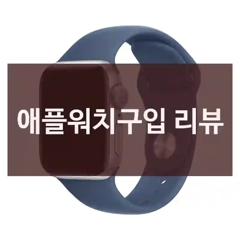 애플워치구입 리뷰