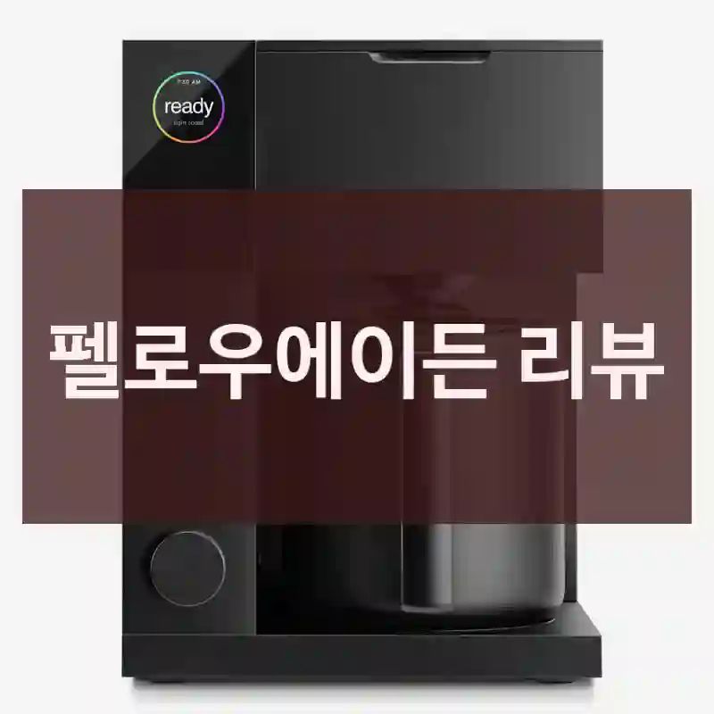 펠로우에이든 리뷰