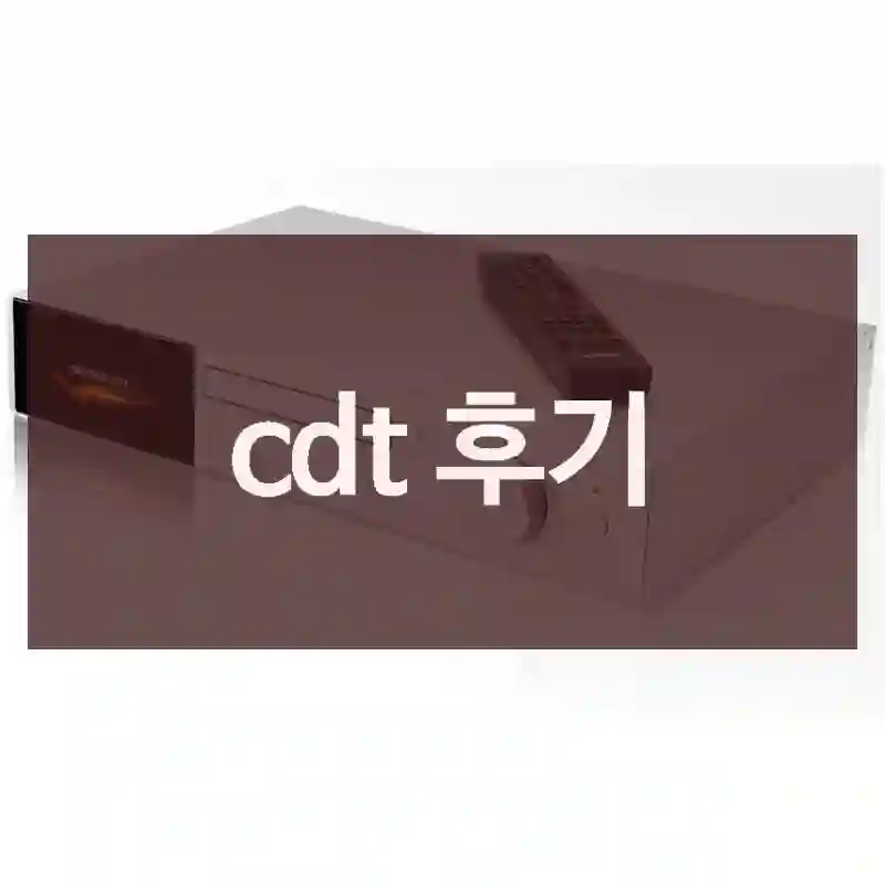 cdt 후기