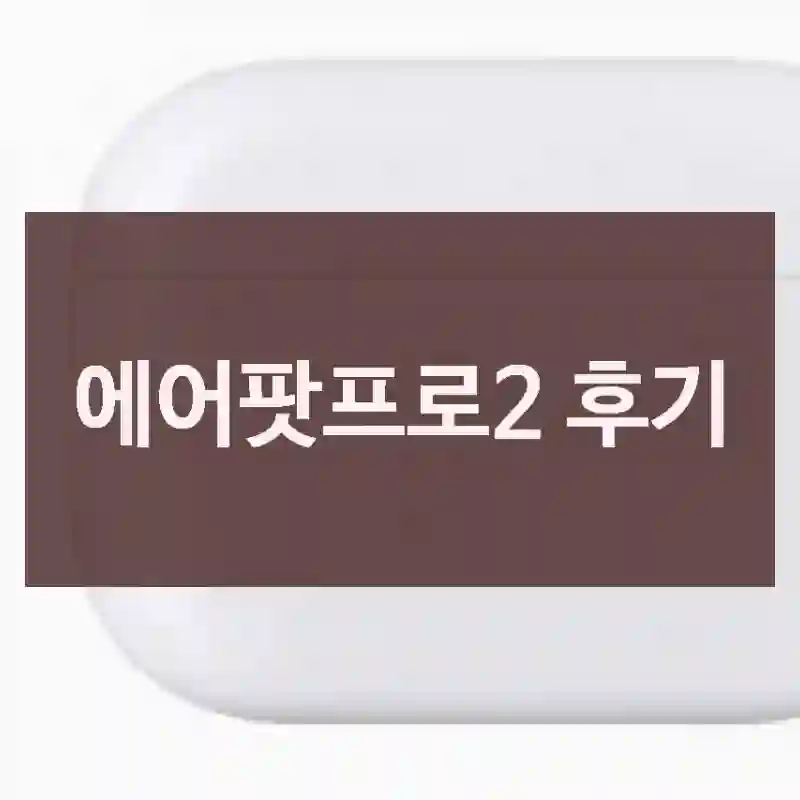 에어팟프로2 후기