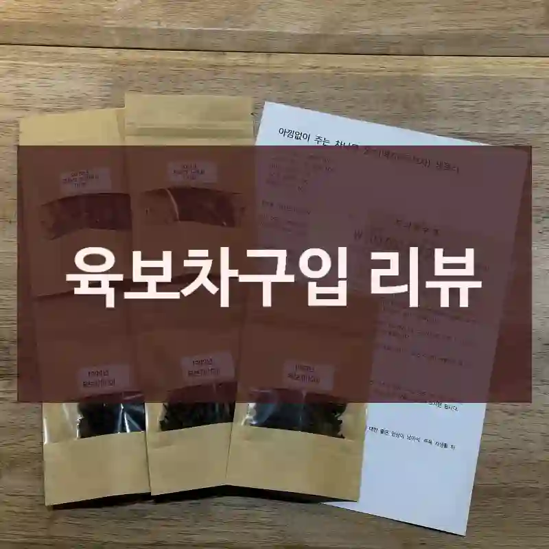 육보차구입 리뷰