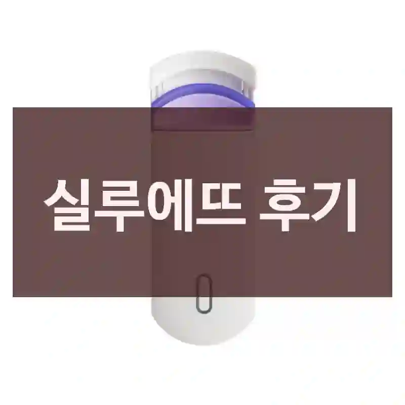 실루에뜨 후기
