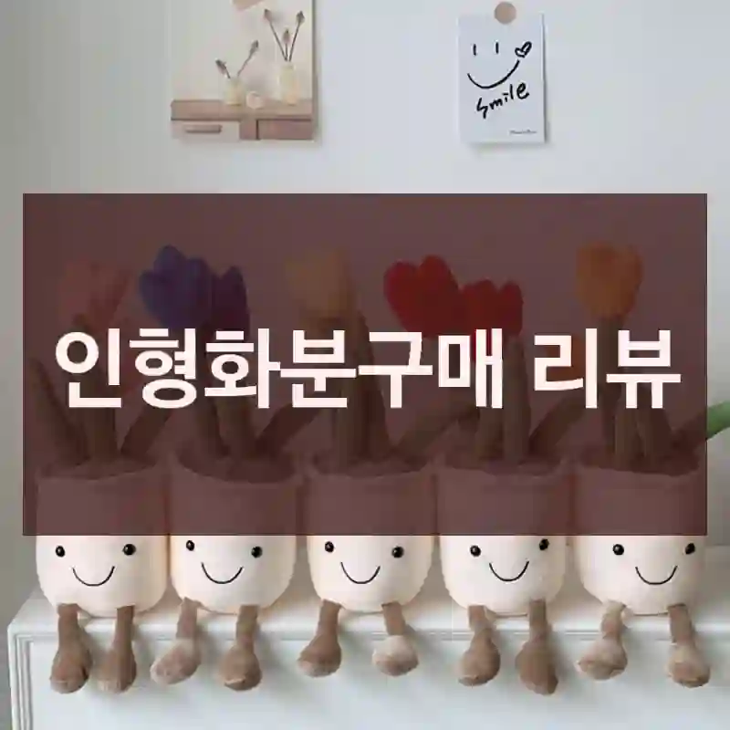 인형화분구매 리뷰