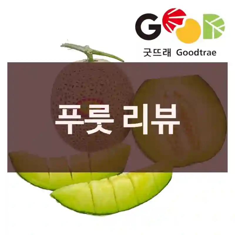 푸룻 리뷰
