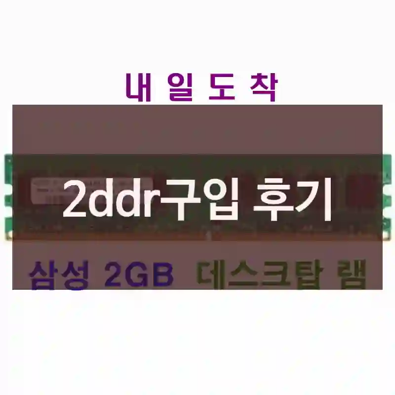 2ddr구입 후기