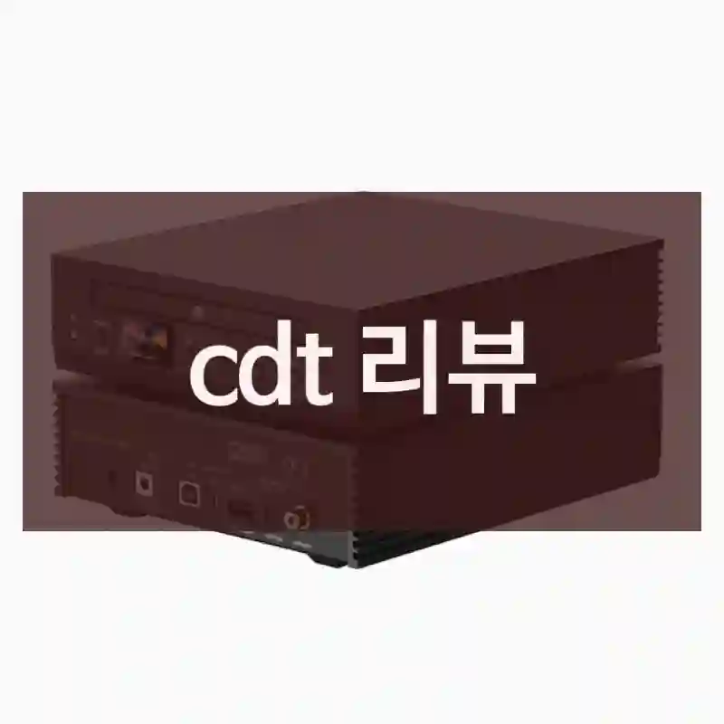 cdt 리뷰