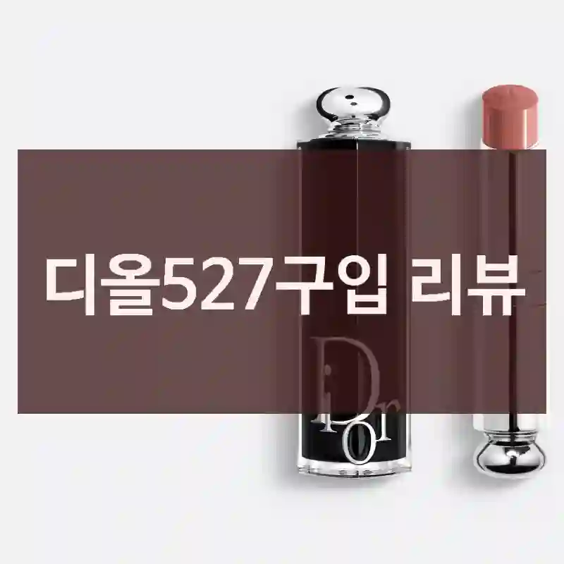 디올527구입 리뷰